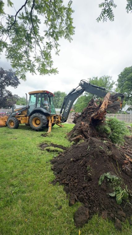 Backhoe lifting a large tree stump out of the ground
