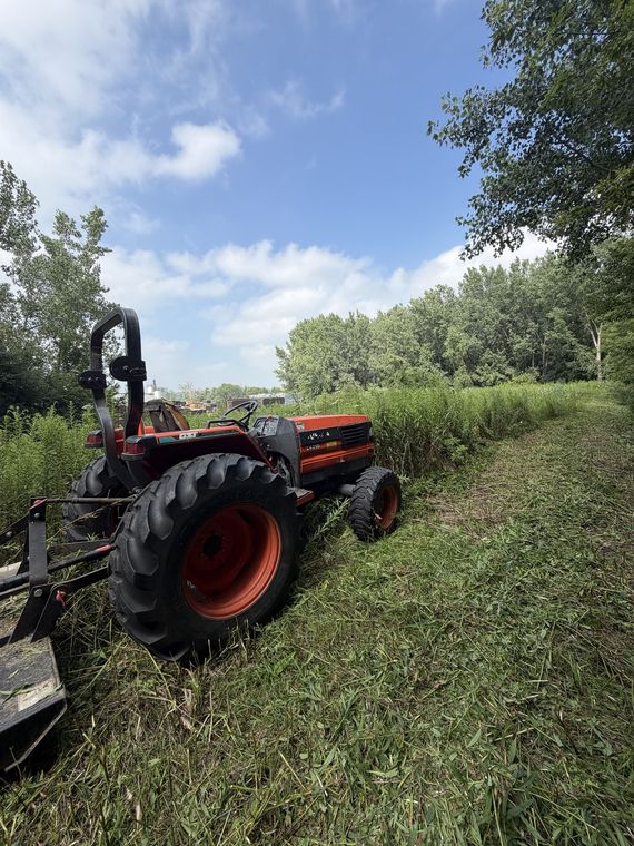 Compact tractor with a brush cutter clearing tall overgrown grass