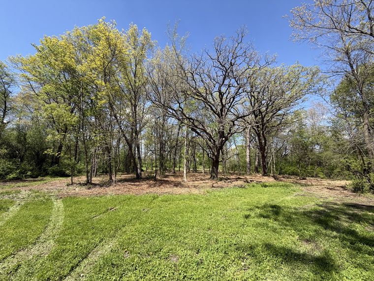 Wooded lot cleared of undergrowth leaving mature trees and open grass